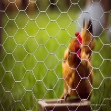 Jardín de casas pollo hexagonal alambre de alambre valla
